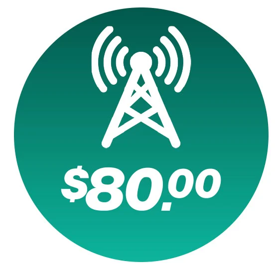 Cellular tower icon with a price tag of $80.00, representing the average monthly cost of a Cellular Internet Connection for Entry Systems.